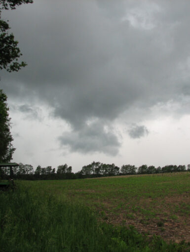 Storm in Michigan