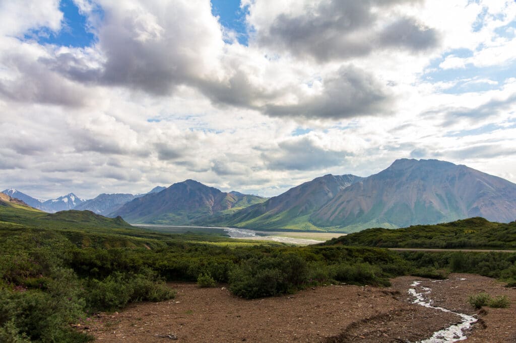 The Denali Range