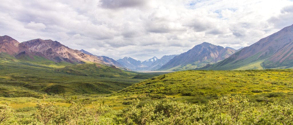 Denali Park