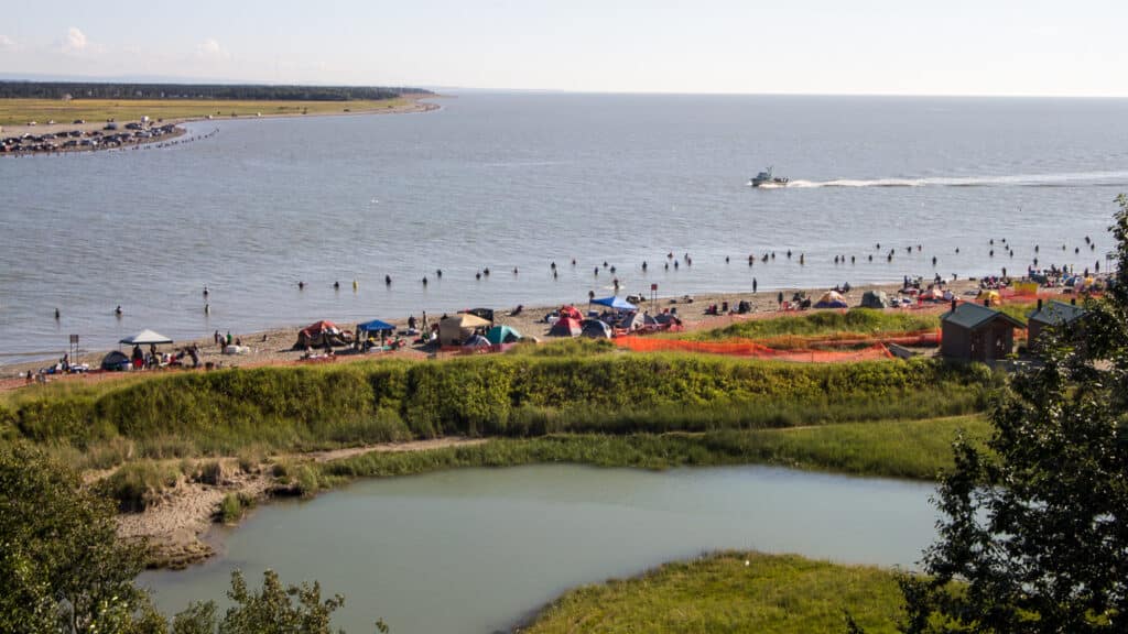 Kenai River Salmon Fishing