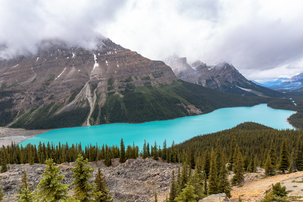 Peyto Lake in Banff National Park