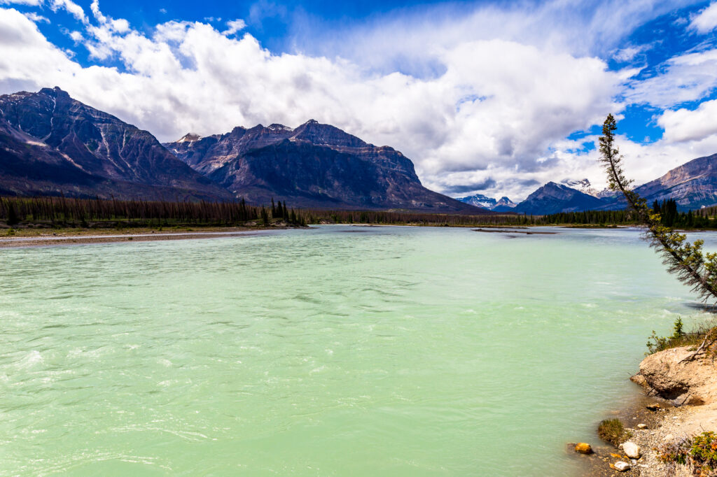 North Saskatchewan River