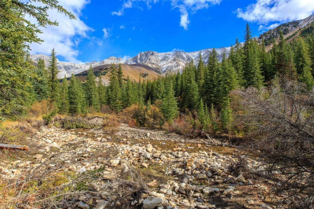 Storm Mountain in Peter Lougheed Provincal Park