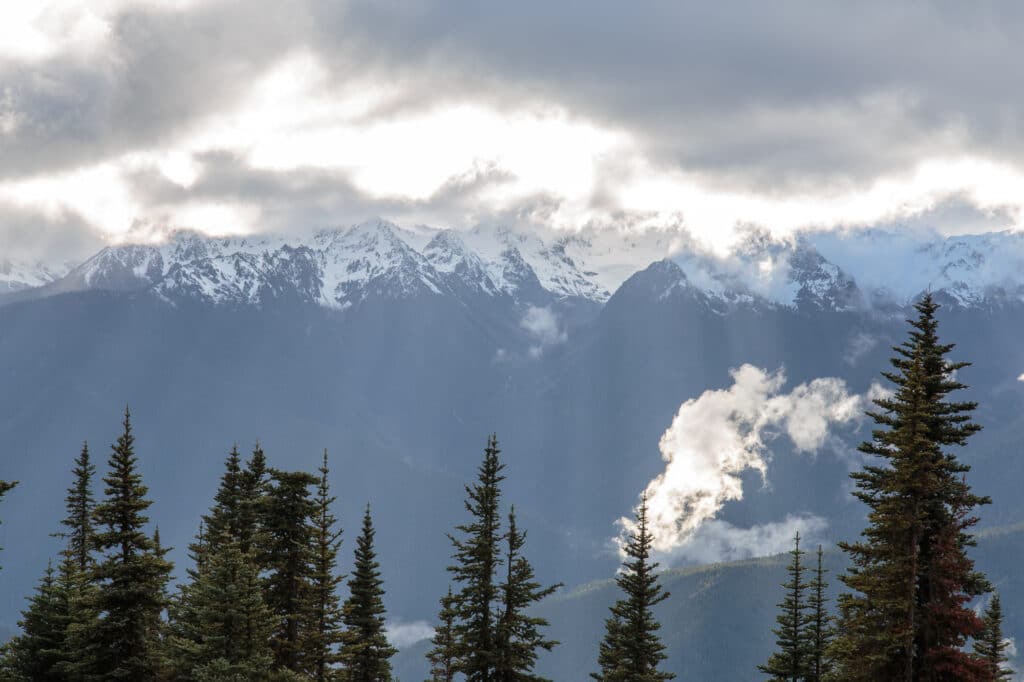 Snow Capped Olympic Mountains