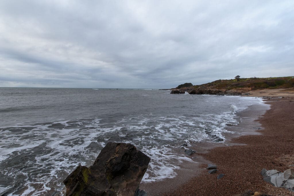 Bean Hollow State Beach