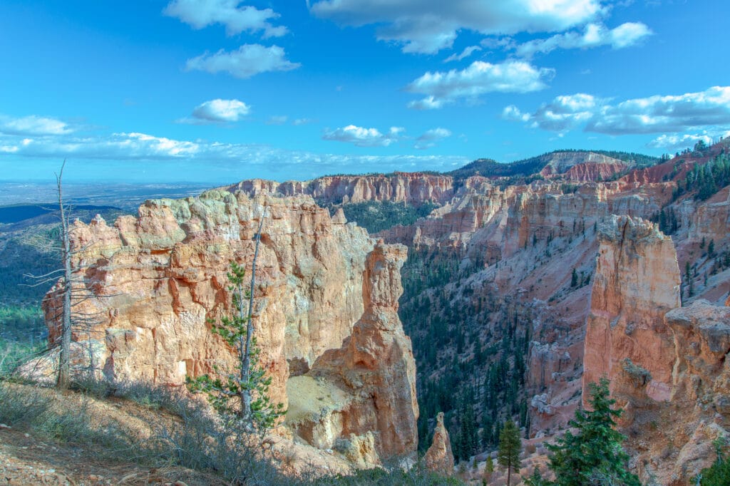 Black Birch Canyon