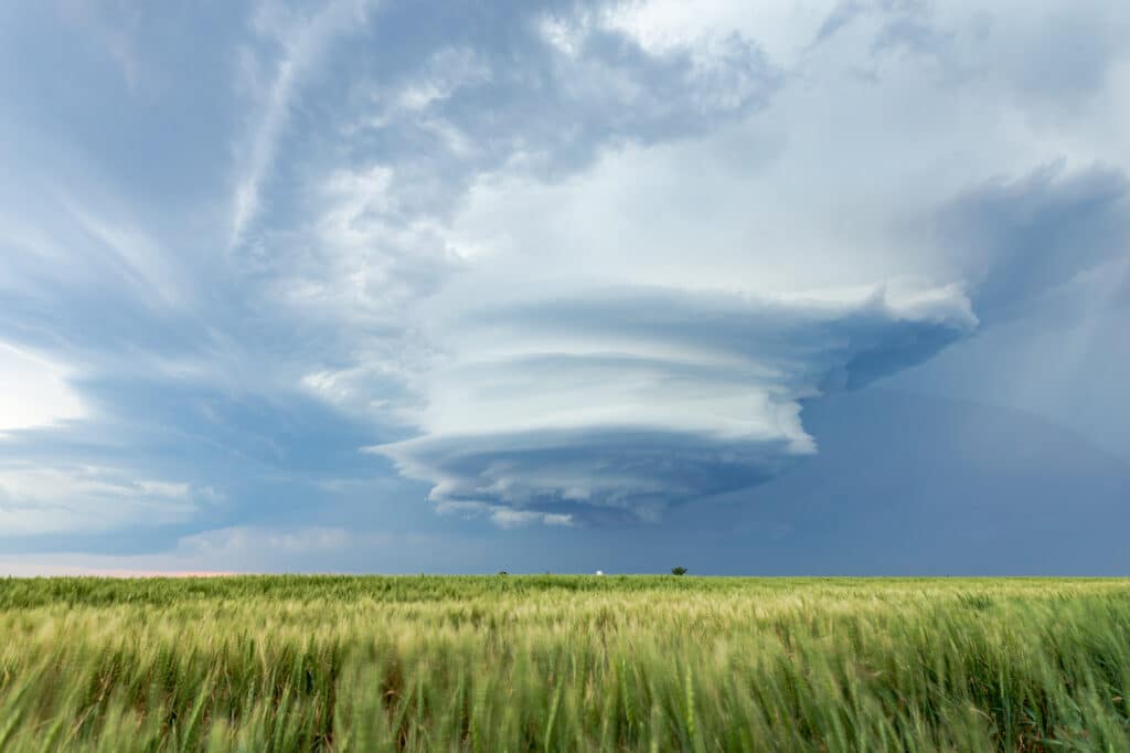 A beautifully sculpted supercell floats across the Kansas landscape northwest of Plains, KS. Lots of wheat fields in this area.