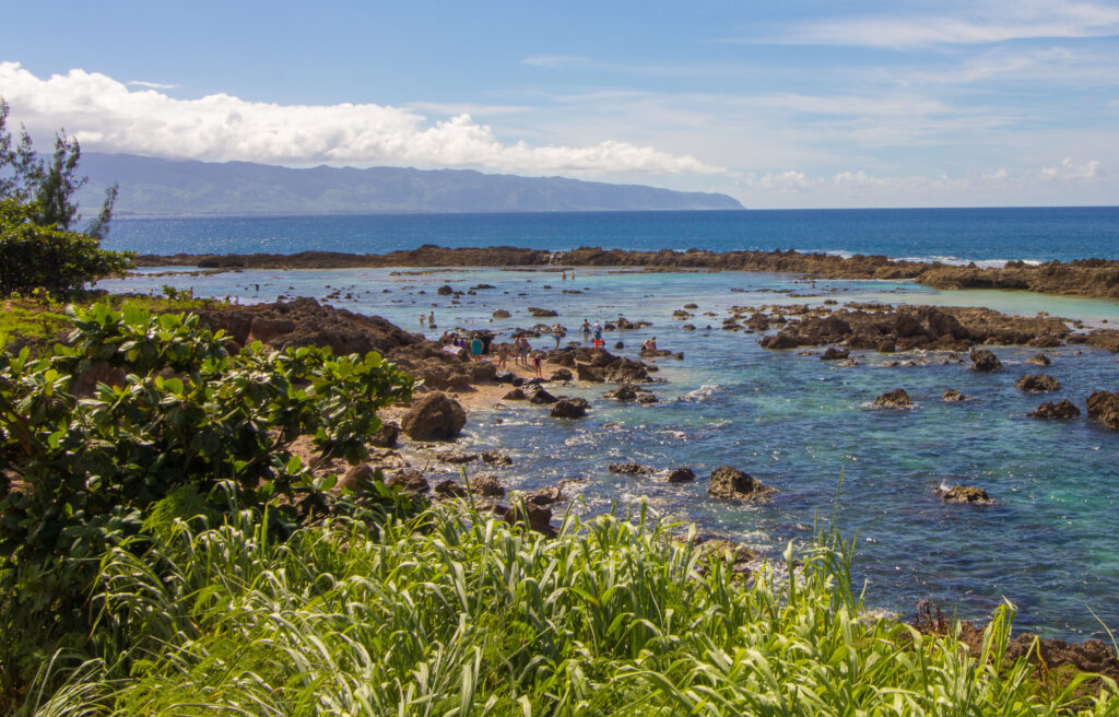 Sharks Cove