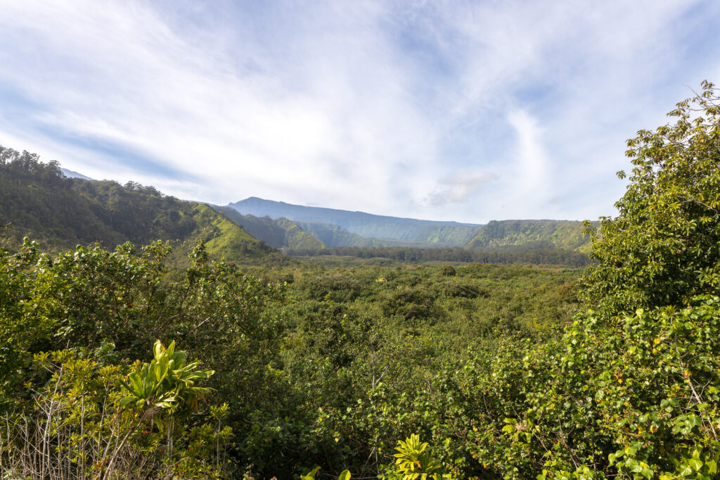 Wailua Valley