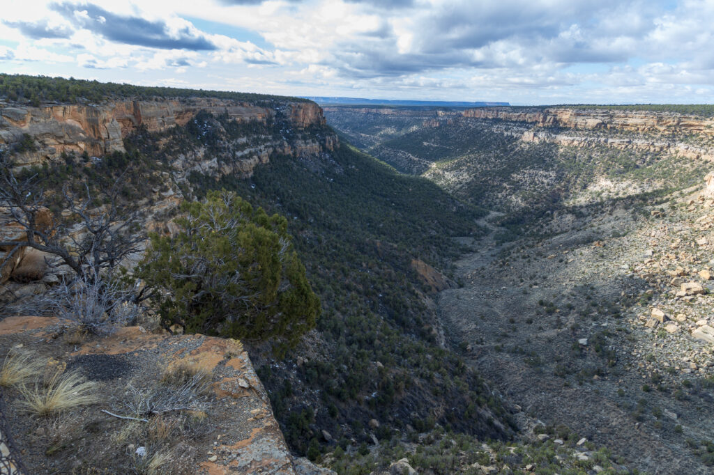 Navajo Canyon