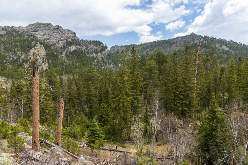 Needles Highway