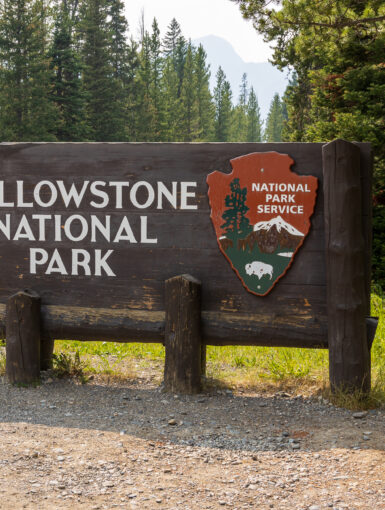 Yellowstone Sign